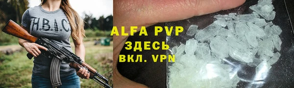 гидра Абаза