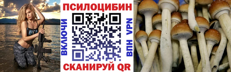 продажа наркотиков  Рассказово  Галлюциногенные грибы GOLDEN TEACHER 