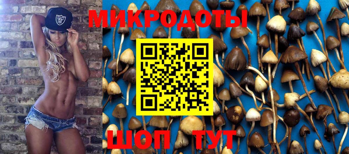 купить наркотики сайты  Галлюциногенные грибы MAGIC MUSHROOMS  Вход с VPN  Рассказово 