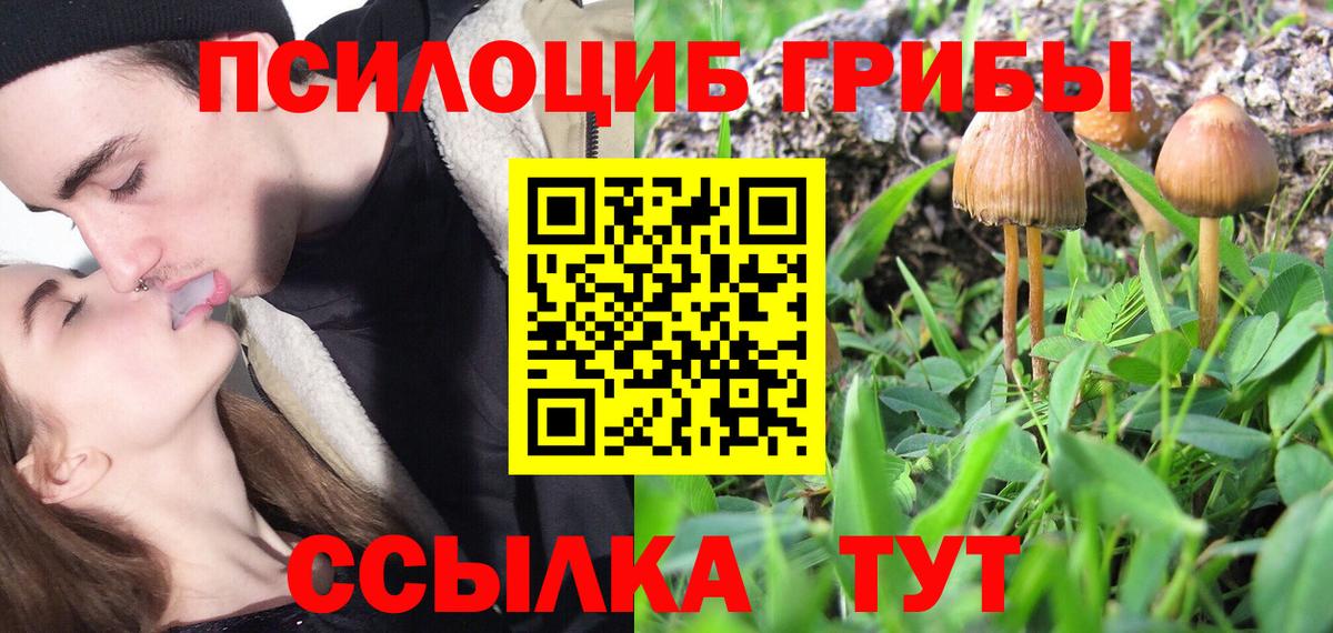 Псилоцибиновые грибы Cubensis Рассказово
