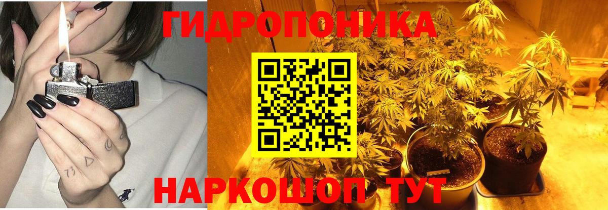 Бошки марихуана Ganja Рассказово